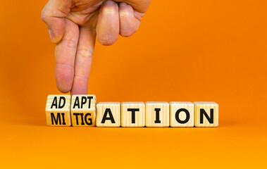 Adaptation or mitigation symbol. Businessman turns cubes and changes the concept word Mitigation to Adaptation. Beautiful orange background. Business adaptation or mitigation concept. Copy space.