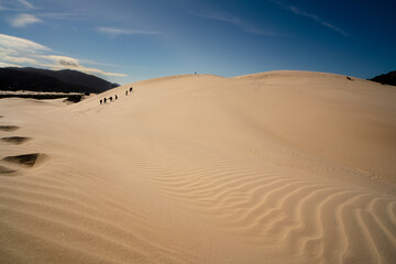 Fototapeta na wymiar Areal nas dunas de Florianópolis; pessoas em fila a andar no deserto a deixar pegadas na areia