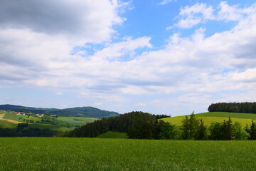 Wiesen und Felder in der buckligen Welt