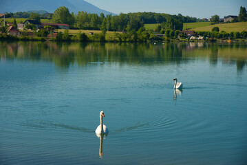 Le Lit du Rhoi an der Rhone in Frankreich