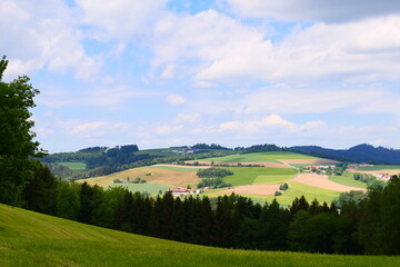 Fototapeta na wymiar Landwirtschaft in Niederösterreich 