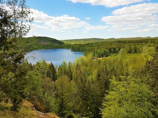 Fototapeta na wymiar Crystal clear lake surrounded by dense forest, Sweden