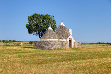 Beautiful trullo, typical Apulian traditional dry stone conical construction, with tree in the...