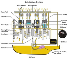 Automobile car engine lubrication system infographic diagram mechanic dynamics engineering physics science education structure parts oil filter gauge pump pan valve drive shaft vector chart