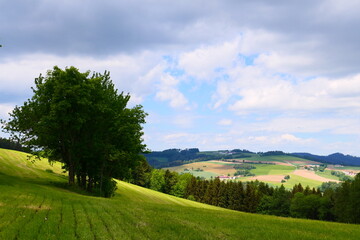 landwirtschaftlich geprägtes Landschaftsbild 