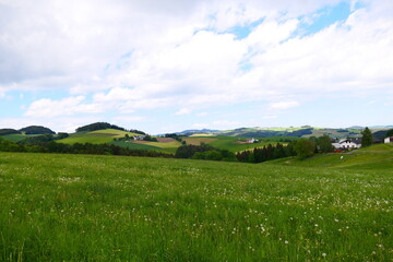 Obraz premium Grünland in Niederösterreich