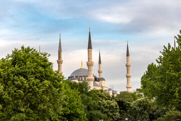 Fototapeta na wymiar Blue mosque. Istambul