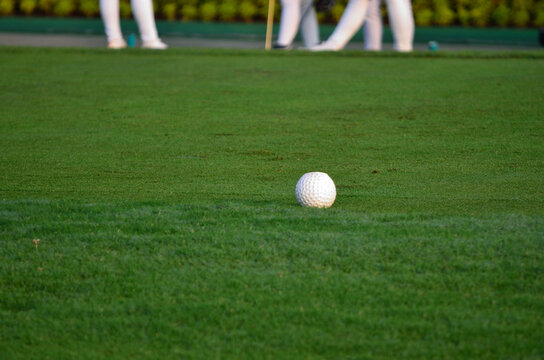 A ball at putting green with background crop image of some golf caddies.