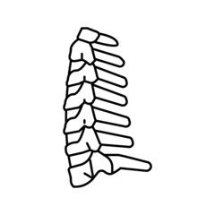 neck bone line icon vector illustration