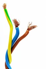 Wires used in European Single-phase electric wiring. The blue is neutral, brown is single-phase and yellow-green is the ground wire. 