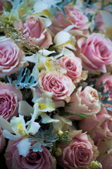 A bunch of  colorful flowers