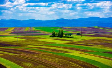 Fototapeta premium landscape with many plots cultivated on the field in spring
