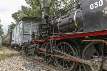 Steam locomotive of Rhine Tourist Railway in spring.