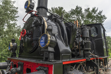 Steam locomotive of Rhine Tourist Railway in spring.