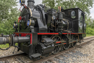 Fototapeta premium Steam locomotive of Rhine Tourist Railway in spring.