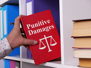 Punitive Damages are shown using the text - obrazy, fototapety, plakaty