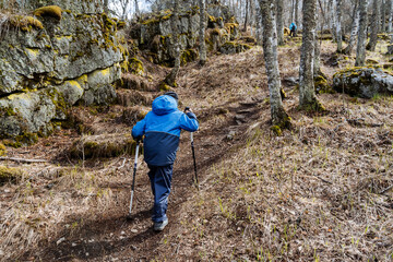 Fototapeta na wymiar A little boy confidently climbs a mountain with trekking poles, a teenager on a hike, a children's tourist camp, a training camp in the forest, a family hike in the mountains.