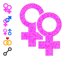 Vector low-poly female signs icon illustration is designed of randomized filled triangle items. Triangulated female signs polygonal icon vector illustration.