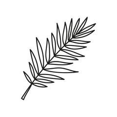 Tropical leaf silhouettes isolated on white background. Chamaedorea. Vector doodle