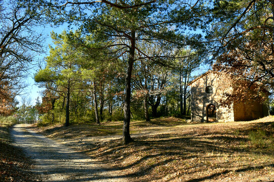  old Chapel in a forest in southern France, Provence