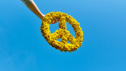 Obraz premium A man's hand holds a crown of yellow dandelions, isolated in the clear bright blue sky. Symbol of peace.