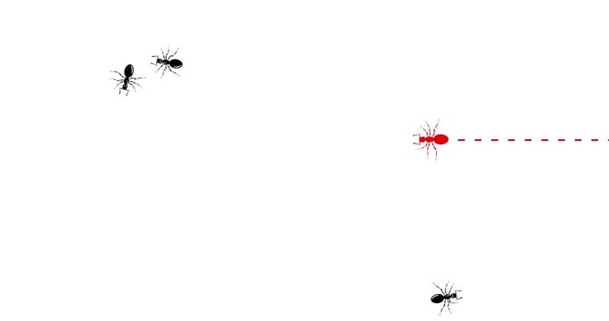 Colony workers ants marching, one ant changing direction. Be yourself, think differently concept. Going out of line, innovation, unique, leadership, different way, new idea. Loop seamless 4K motion