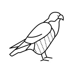 Fototapeta premium falcon bird line icon vector illustration