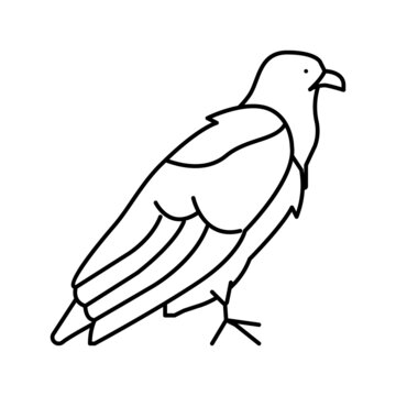 recommend clip art: eagle bird line icon vector illustration