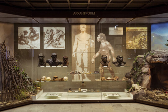 Moscow, Russia - February 24, 2016: State Darwin Museum