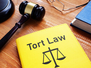 Tort Law is shown using the text