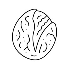 roasted tomatoes line icon vector illustration