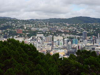 Wellington City From Mount Victoria Lookout