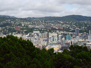 Fototapeta na wymiar Wellington City From Mount Victoria Lookout