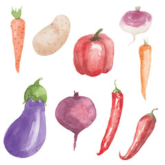 set of vegetables watercolor