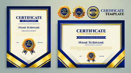 Luxury Premium Professional Diploma Certificate Template