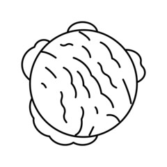 ball ice cream line icon vector illustration