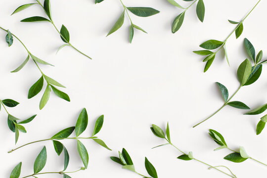 Pattern made of branches with green leaves on white background. Flat lay, top view, copy space