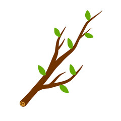 Tree branch with leaf on white background illustration.