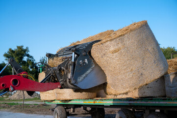 Farmer unloading round bales of straw with a front end loader