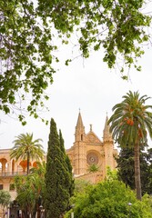 Cathedral of palma de mallorca from Passeing del Born, Spain © honey