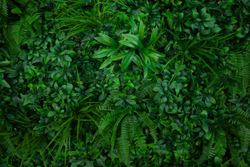 Natural background with tropical green leaves. Abstract nature pattern with tropical texture.