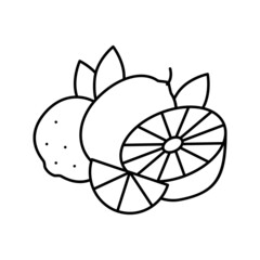 branch lemon and lime line icon vector illustration