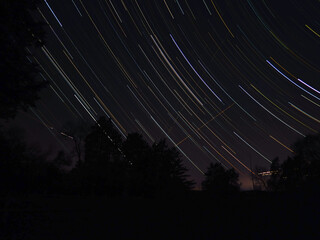 Star trails over the tree line