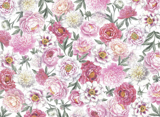 Floral background. Hand drawn botanical illustration with peonies.