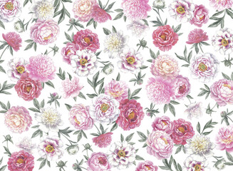 Floral background. Hand drawn botanical illustration with peonies.