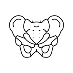 pelvis bone line icon vector illustration