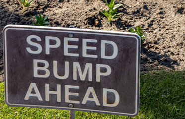 Sign reading Speed Bump Ahead