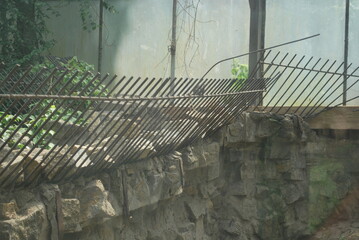 fencing, barriers, security at the zoo - obrazy, fototapety, plakaty