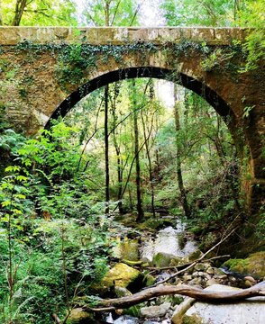 Puente sobre un riachuelo en un bosque de Galicia