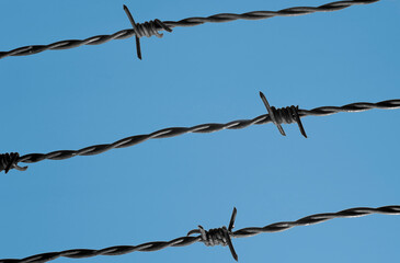 Barbed wire